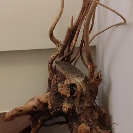 GiAnna's Pelion Blue Escape by ΜΡS