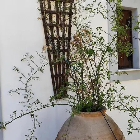 GiAnna's Pelion Blue Escape by ΜΡS Διαμέρισμα