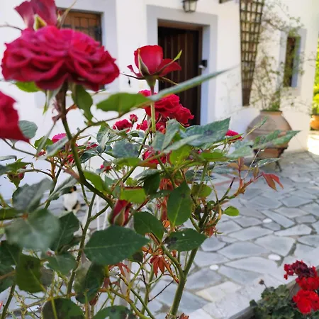 GiAnna's Pelion Blue Escape by ΜΡS * Áyios Dhimítrios